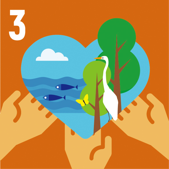 3. Enhanced and widely mobilised societal efforts in habitat restoration