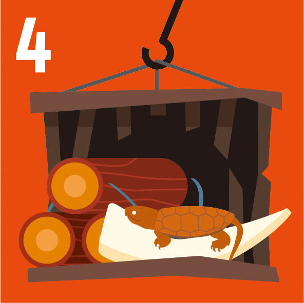 4. Strengthened protection of endangered species against poaching and trafficking